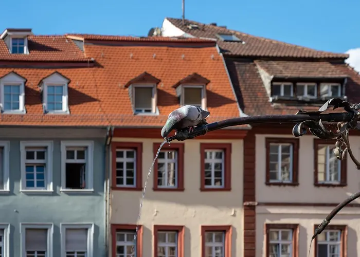 Staycity Hotel Heidelberg